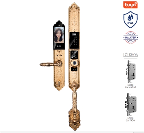 Khoá cửa tân cổ Avolock AC-997F-G thông minh có Face ID, App wifi
