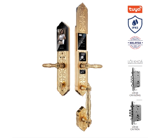 Khoá cửa tân cổ thông minh Avolock AC-999F-G Face Id