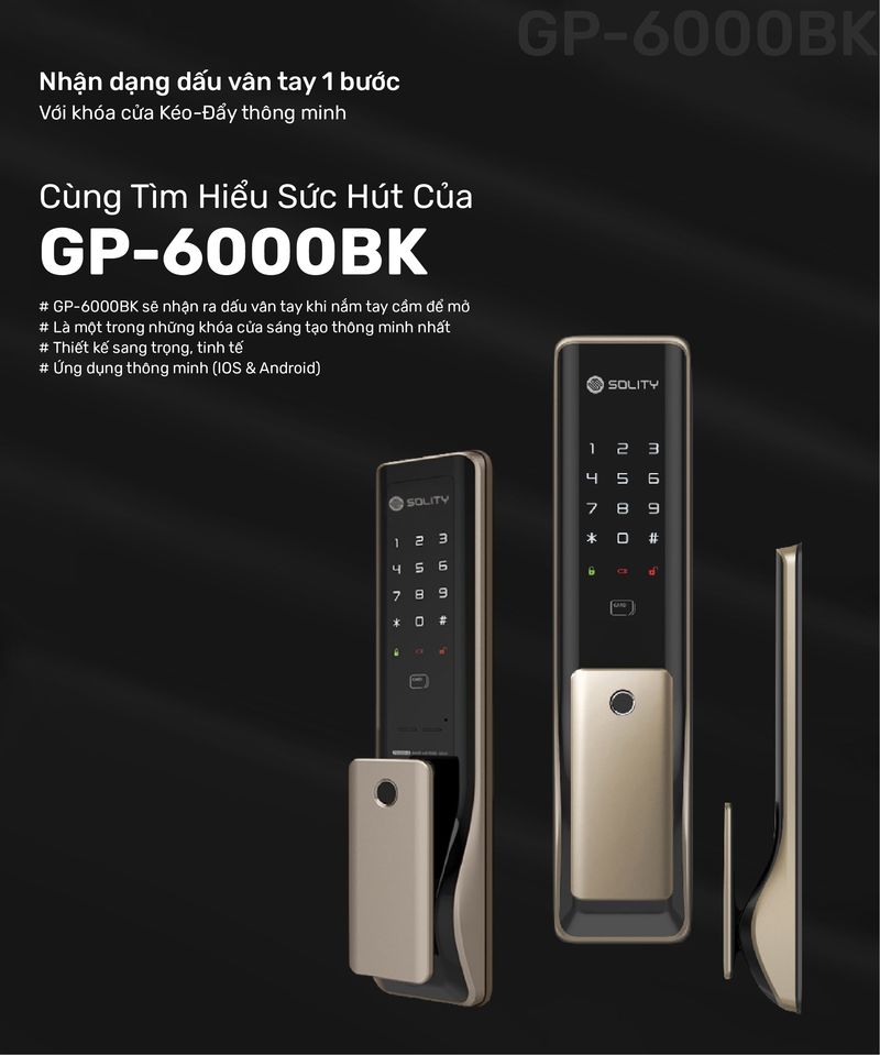Khóa cửa vân tay Solity GP-6000BK